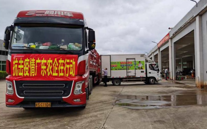 荆州理工校友向荆州捐赠10吨甘薯