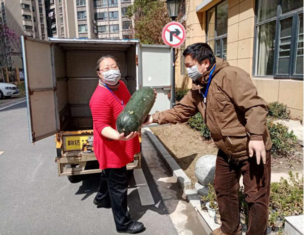 全民抗“疫”：人人有阵地 事事有着落——荆州理工职业学院对口联系服务雷家垱社区疫