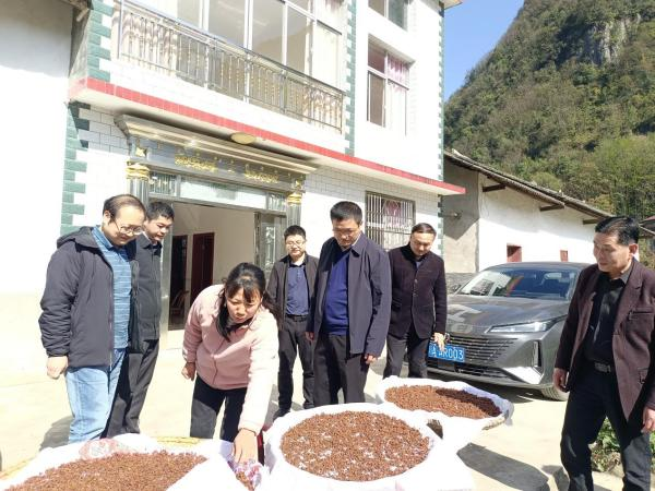 图片 3.png 图片 3.png