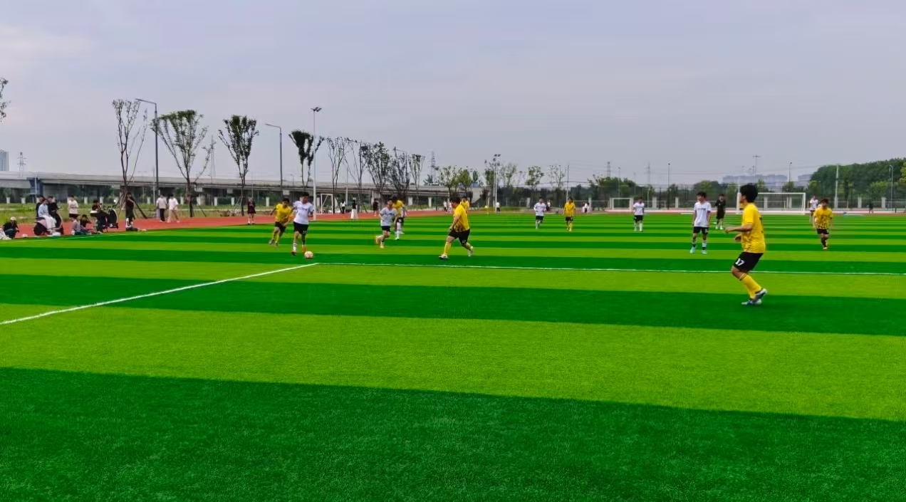 d4176-微信图片_20260610220458_206_105.jpg